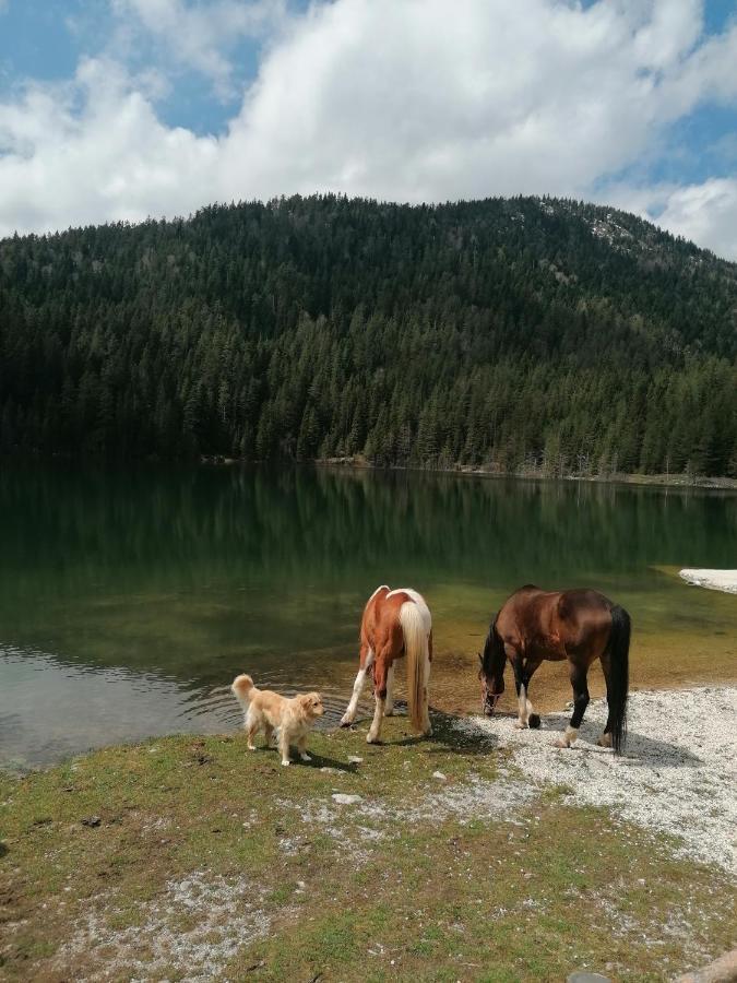 Zabljak_Vikendica Exteriér fotografie