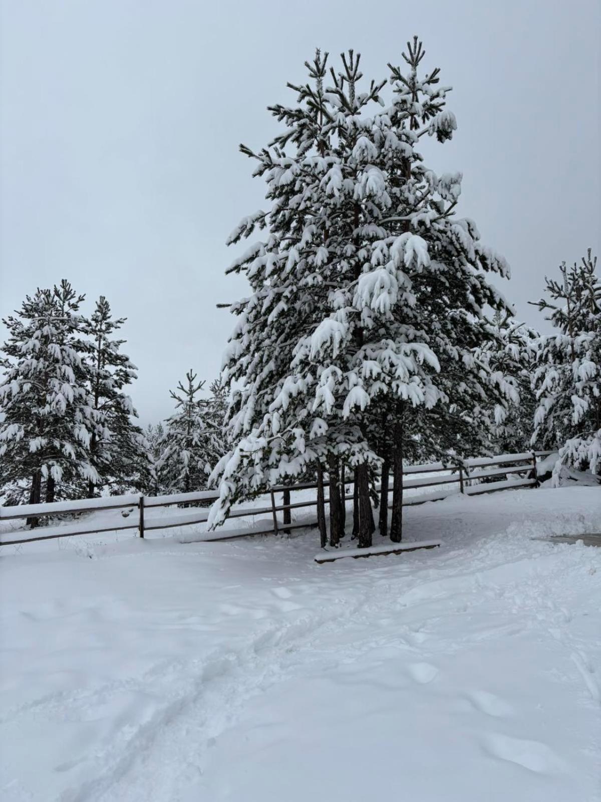 Zabljak_Vikendica Exteriér fotografie